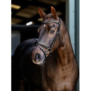 LeMieux Arika Dressage Bridle - Black/Silver in Black/Silver