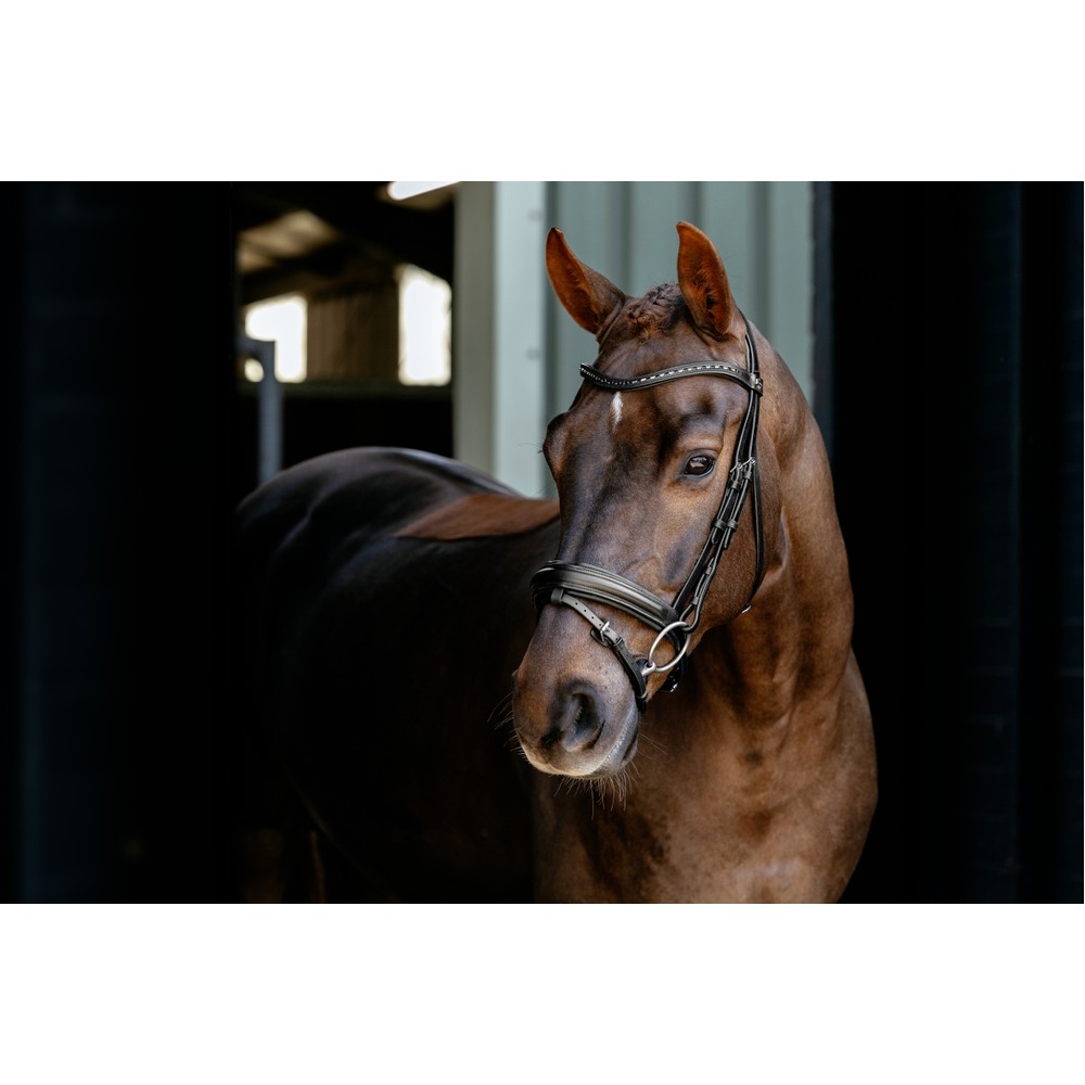 LeMieux Arika Dressage Bridle - Black/Silver