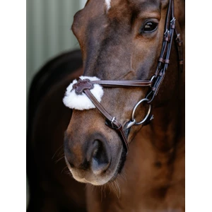 LeMieux Arika Grackle Bridle - Havana/Silver in Havana/Silver