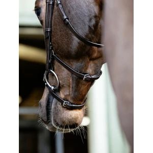 LeMieux Arika Grackle Bridle - Havana/Silver in Havana/Silver