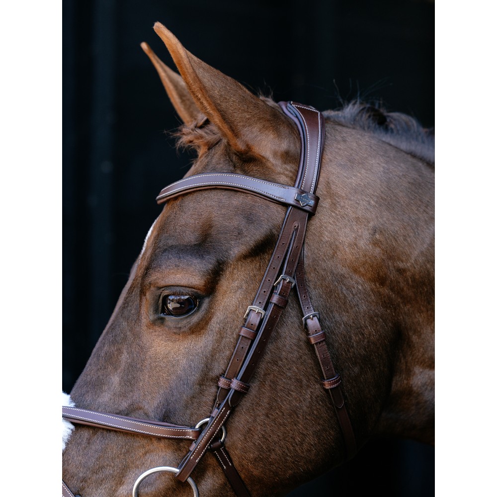 LeMieux Arika Grackle Bridle - Havana/Silver