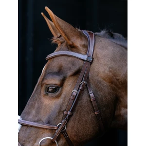 LeMieux Arika Grackle Bridle - Havana/Silver in Havana/Silver