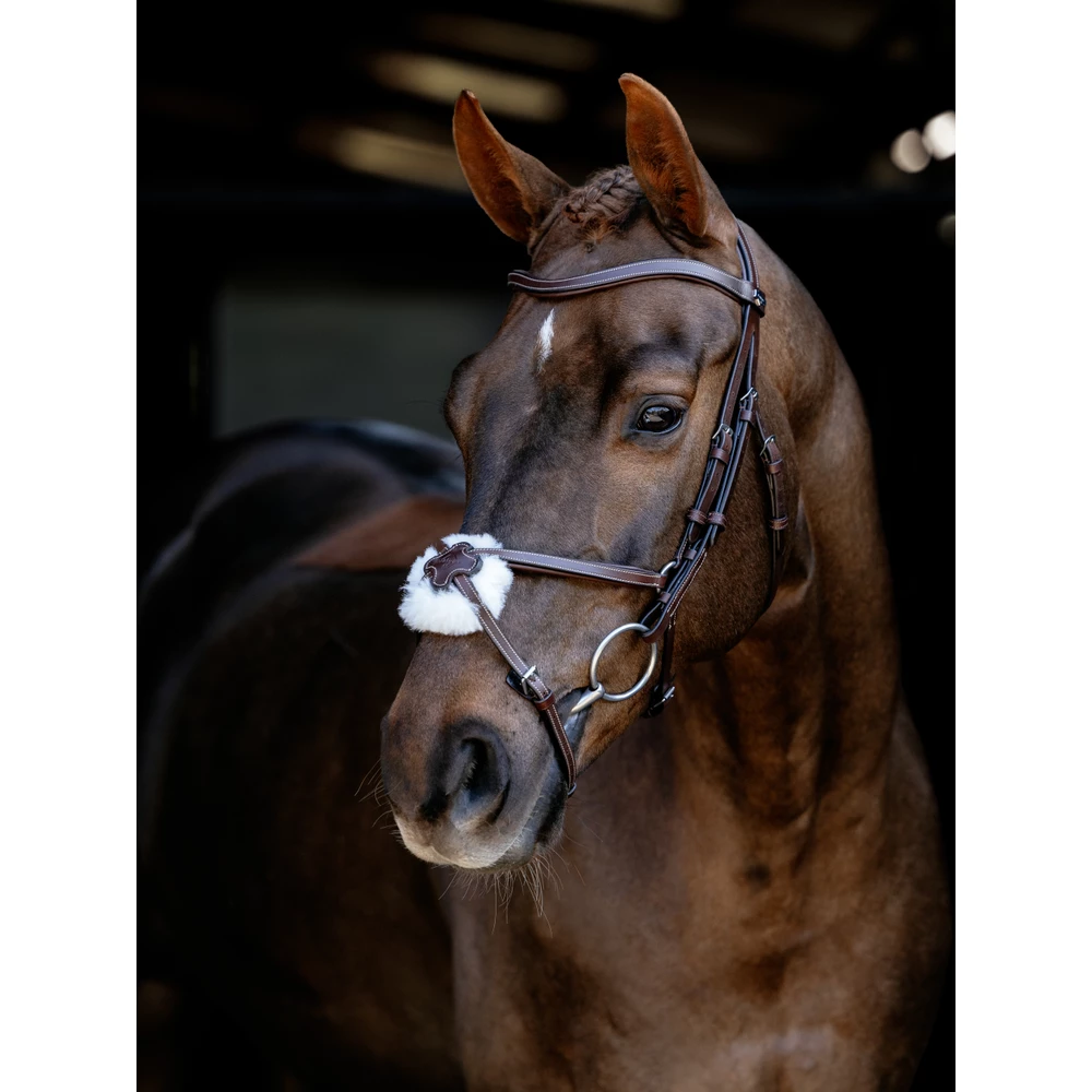 LeMieux Arika Grackle Bridle - Havana/Silver in Havana/Silver