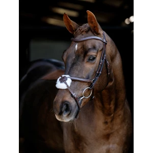 LeMieux Arika Grackle Bridle - Havana/Silver in Havana/Silver