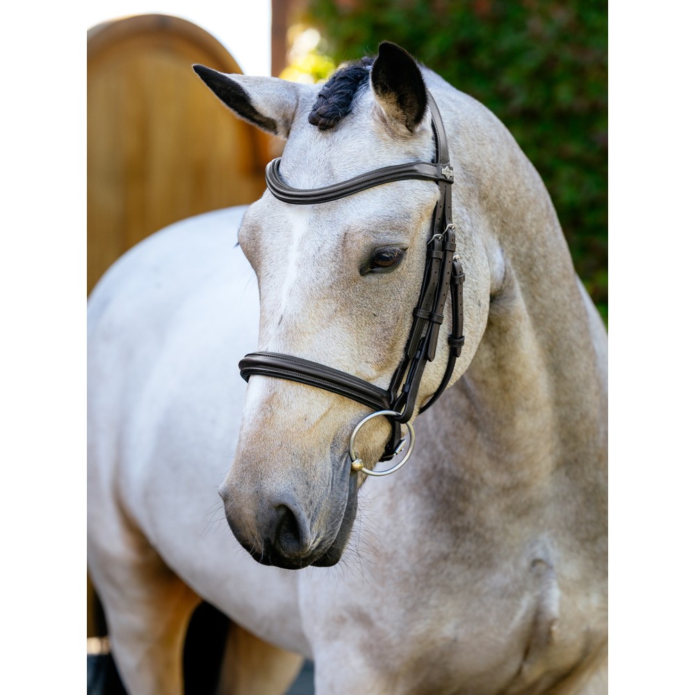 LeMieux Arika Cavesson Bridle - Brown/Silver