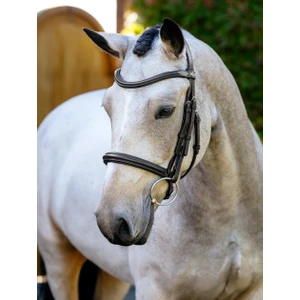 LeMieux Arika Cavesson Bridle - Brown/Silver in Brown/Silver