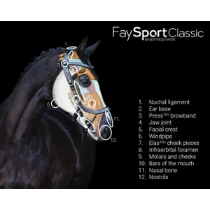 PresTeq Bridle FaySport Classic - Brown in Brown