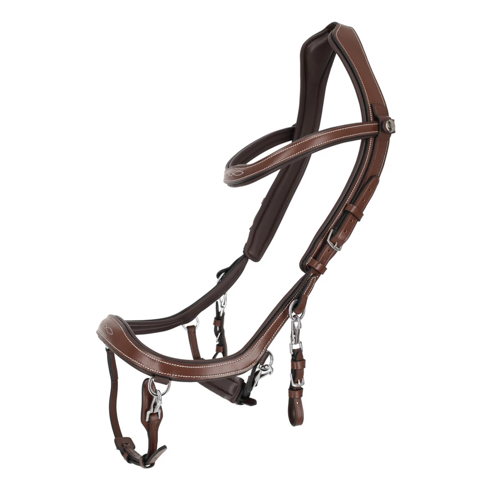 PresTeq Bridle FaySport Classic - Brown in Brown