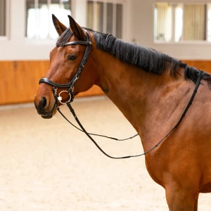 PresTeq Bridle FaySport Classic - Black in Black