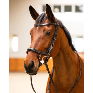 PresTeq Bridle FaySport Classic - Black in Black