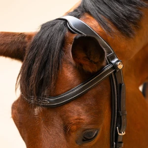 PresTeq Bridle FaySport Classic - Black in Black