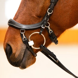 PresTeq Bridle FaySport Classic - Black in Black