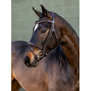 LeMieux Arika Flash Bridle - Brown/Silver in Brown/Silver