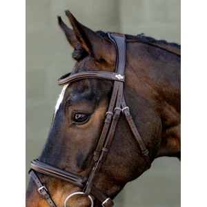 LeMieux Arika Flash Bridle - Brown/Silver 