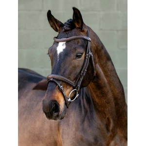 LeMieux Arika Flash Bridle - Brown/Silver in Brown/Silver