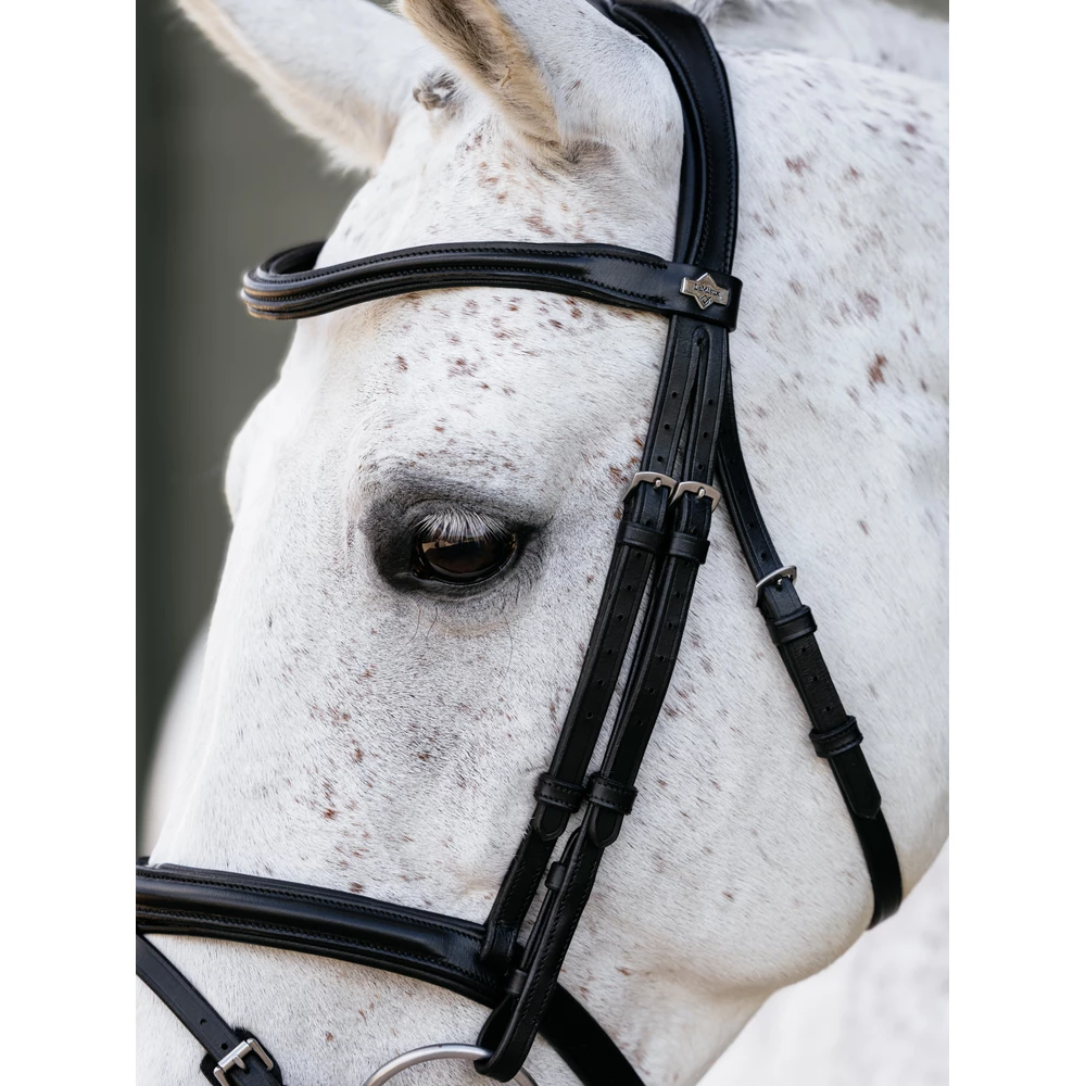 LeMieux Arika Flash Bridle - Black/Silver in Black/Silver