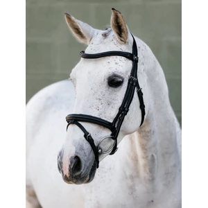 LeMieux Arika Flash Bridle - Black/Silver 