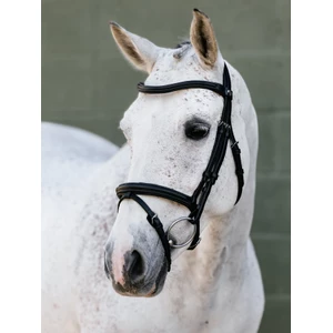 LeMieux Arika Flash Bridle - Black/Silver in Black/Silver
