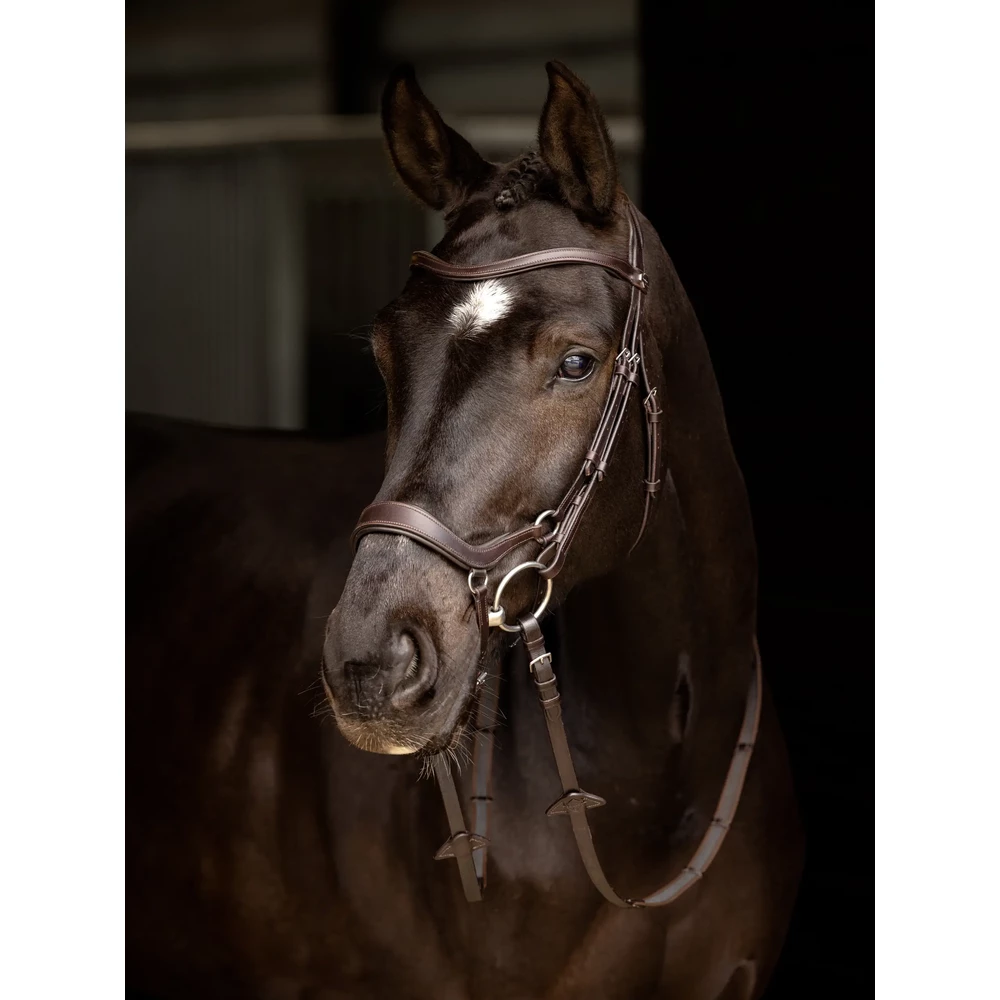 LeMieux Arika Drop Bridle - Brown/Silver in Brown/Silver