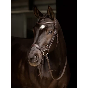 LeMieux Arika Drop Bridle - Brown/Silver in Brown/Silver