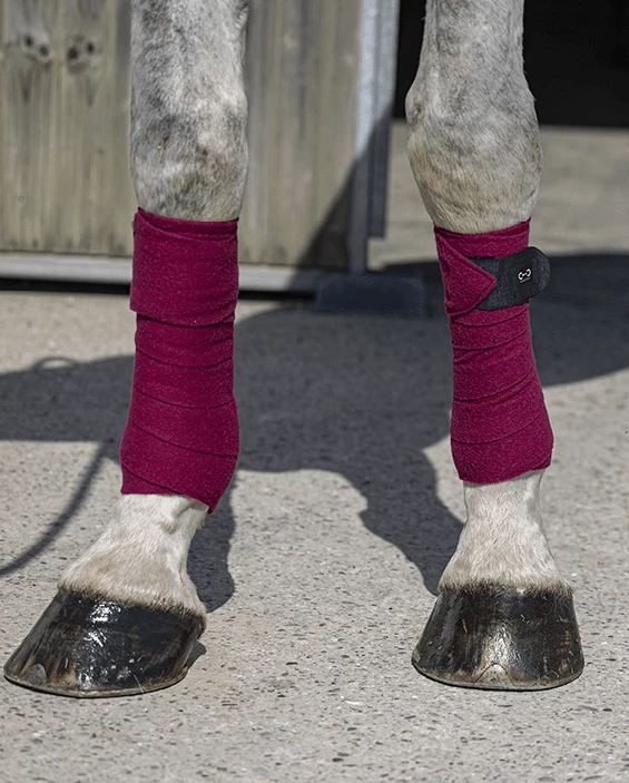 Ekkia Horse Equipment Riding World - Eco - Polo Bandages in Burgundy