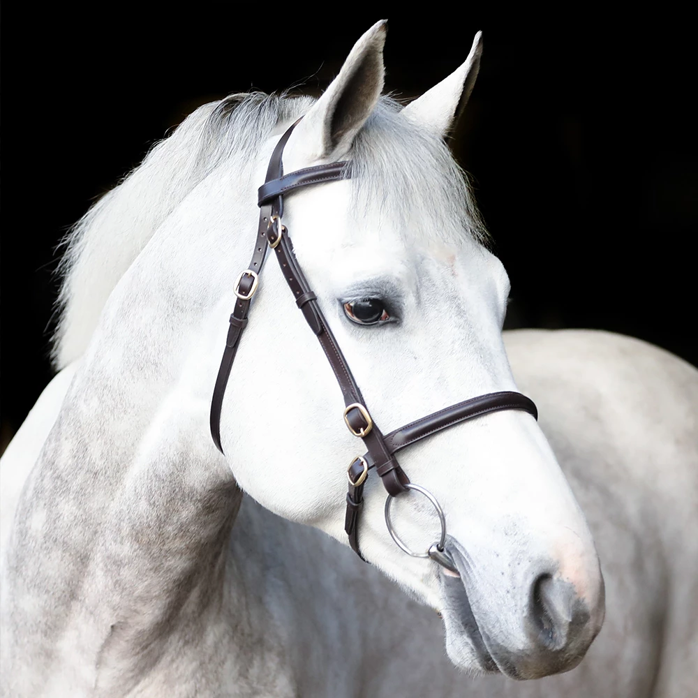 Mackey Equestrian Mackey Classic In-Hand Bridle - Brown in Brown