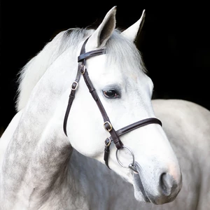 Mackey Equestrian Mackey Classic In-Hand Bridle - Brown in Brown
