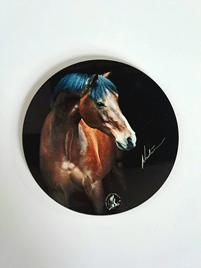 MIS Injured Jockey Fund - Equine Art Coasters in Unknown