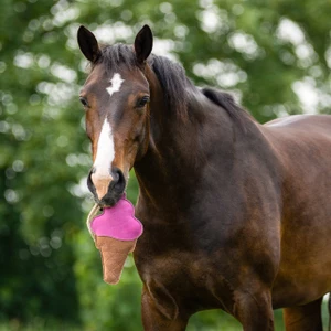 QHP Horse toy Snackcounter - Ice Cream 