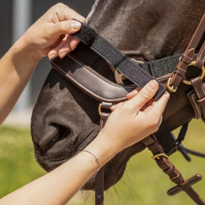 QHP Tack up halter - Black in Black