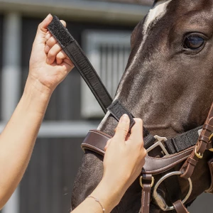 QHP Tack up halter - Black in Black