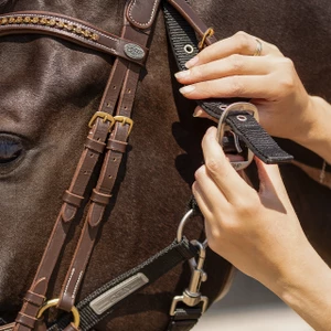 QHP Tack up halter - Black in Black