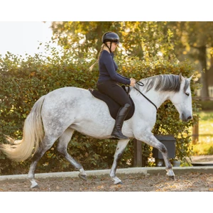 QHP Bareback pad super soft - Black/Black in Black