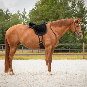 QHP Bareback pad super soft - Black/Black in Black