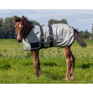 QHP Foal Fly Sheet - Grey 