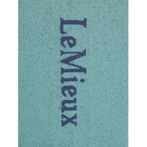 LeMieux Competition Socks 2 pack - Aloe in Aloe