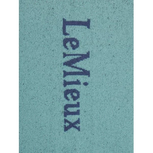 LeMieux Competition Socks 2 pack - Aloe in Aloe