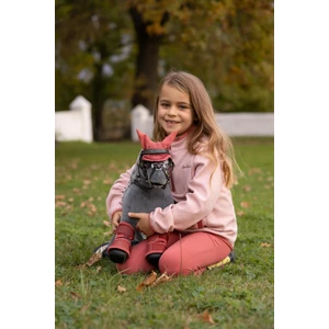 LeMieux Toy Pony Fly Hood  - Spiced Earth 