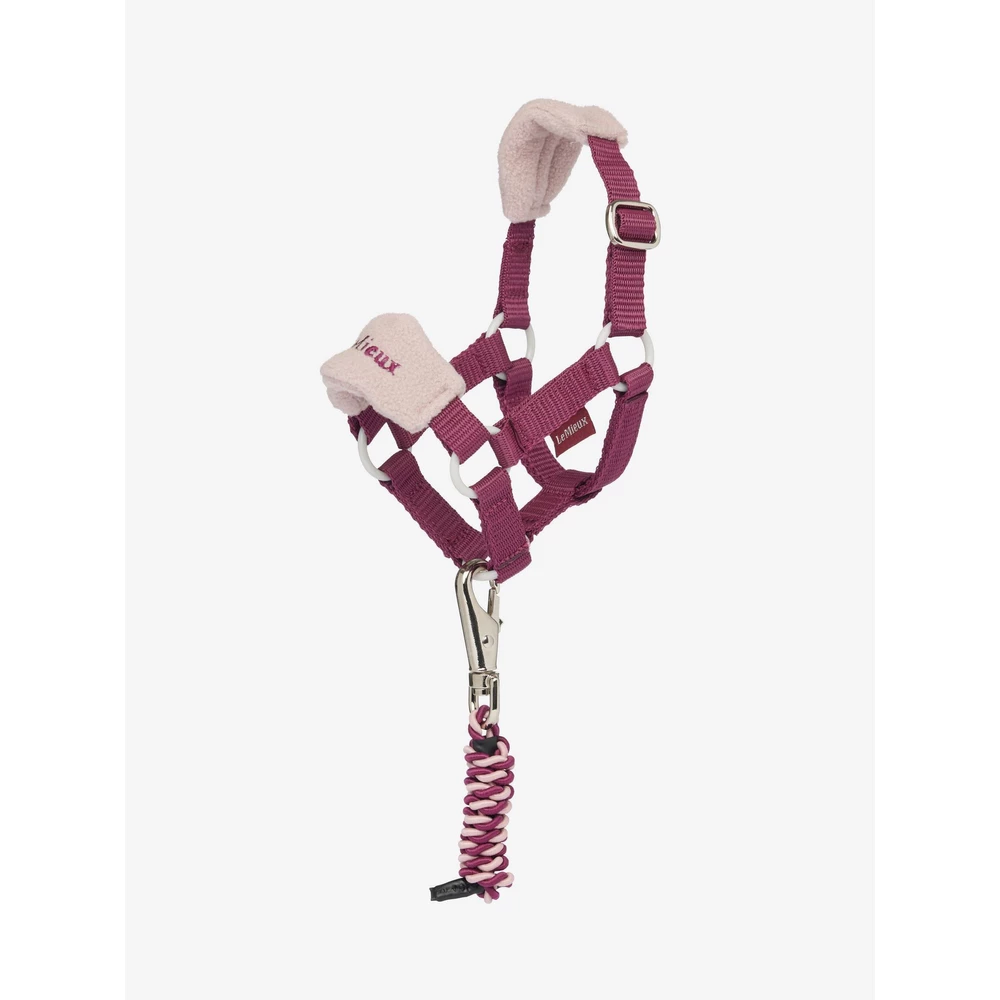 LeMieux Toy Pony Vogue Headcollar & Leadrope - Blackberry in Blackberry