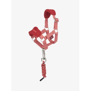 LeMieux Toy Pony Vogue Headcollar & Leadrope  - Spiced Earth in Spiced Earth