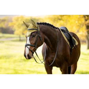 LeMieux Classic Fly Hood - Gooseberry in Gooseberry