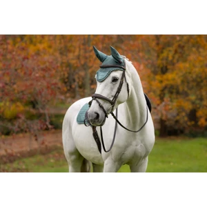 LeMieux Classic Fly Hood  - Aloe in Aloe