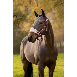 LeMieux Vogue Headcollar & Leadrope  - Blackberry in Blackberry