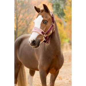 LeMieux Vogue Headcollar & Leadrope  - Blackberry in Blackberry