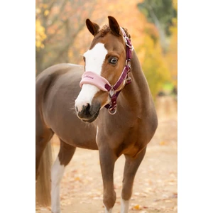 LeMieux Vogue Headcollar & Leadrope  - Blackberry in Blackberry