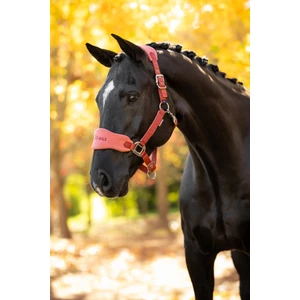 LeMieux Vogue Headcollar & Leadrope - Russet in Russet