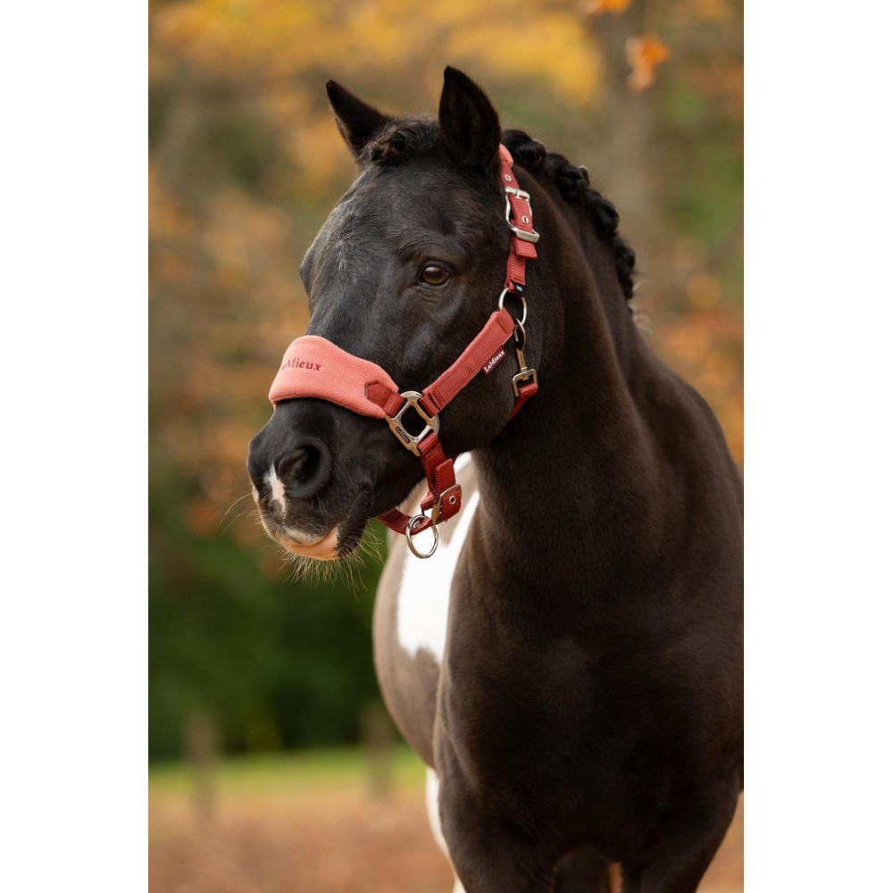 LeMieux Vogue Headcollar & Leadrope - Russet