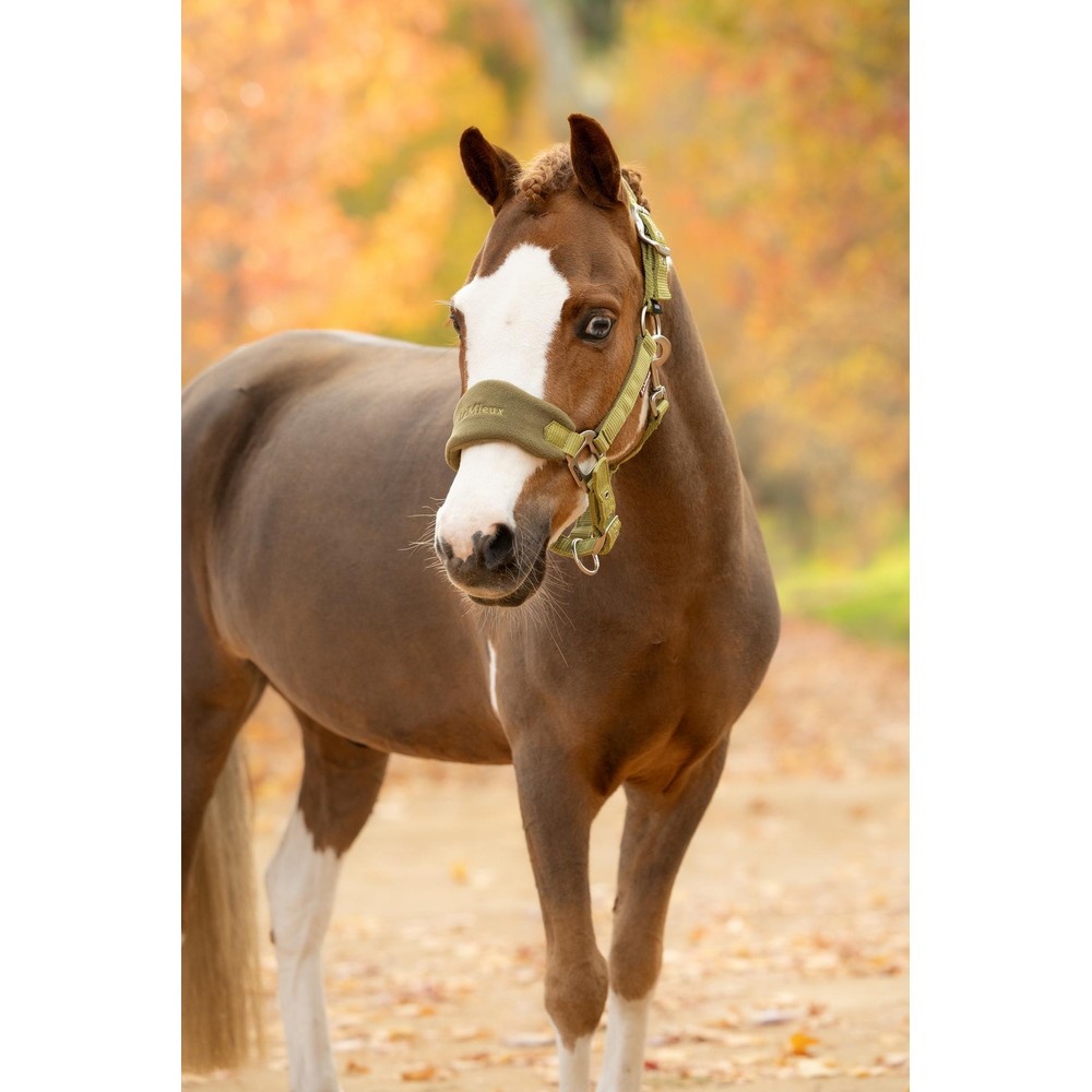 LeMieux Vogue Headcollar & Leadrope - Gooseberry