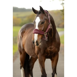 LeMieux Breakaway Vogue Headcollar & Leadrope  - Bramble 