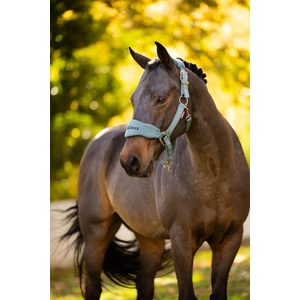 LeMieux Breakaway Mini Vogue Headcollar & Leadrope - Aloe in Aloe